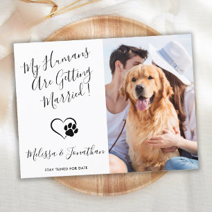 Moderne Tierfotos Einfache Hundehochzeit Verlobung Ankündigungspostkarte