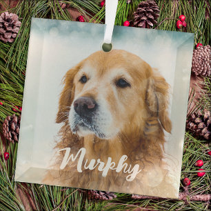 Moderne Tierfotos Personalisiert Whimsical Hunde L Ornament Aus Glas