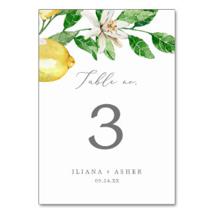 Moderne Tischnummer Lemon Garden