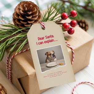 Moderne unartige lustige Hunde-Pet-Foto-Weihnachte Geschenkanhänger