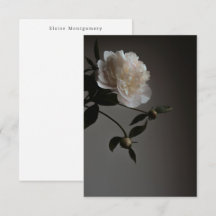 Moderne und dunkle, stimmungsvolle Blumenfotografi