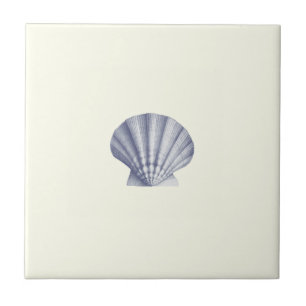 Moderne Vintage Blue Sea-Muschel auf Elfenbein Fliese