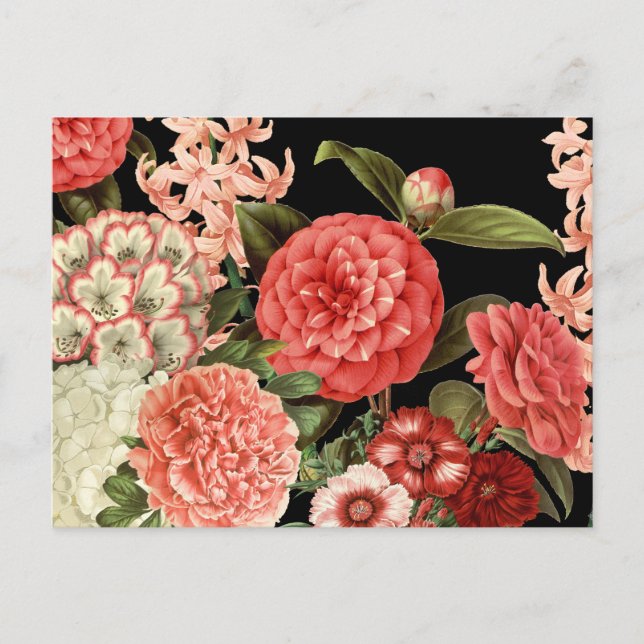 moderne Vintage botanisch-rosa Blume Postkarte (Vorderseite)