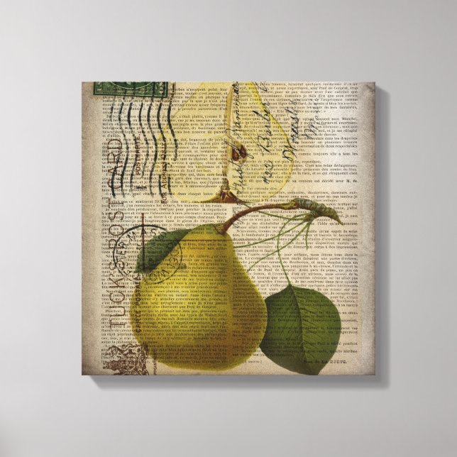 moderne Vintage Botanische Fruchtbirne Leinwanddruck (Vorderseite)