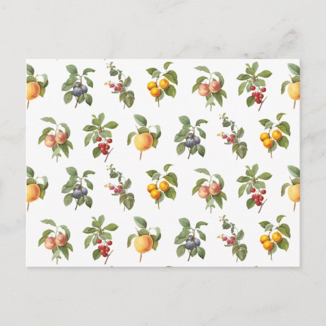 moderne Vintage botanische Früchte Postkarte (Vorderseite)