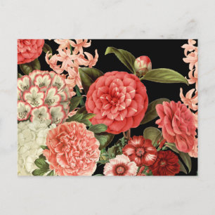 moderne vintage botanische rosa Blumen Postkarte
