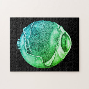 Moderne Vintage Eyeballdetails Zeichnend Grün