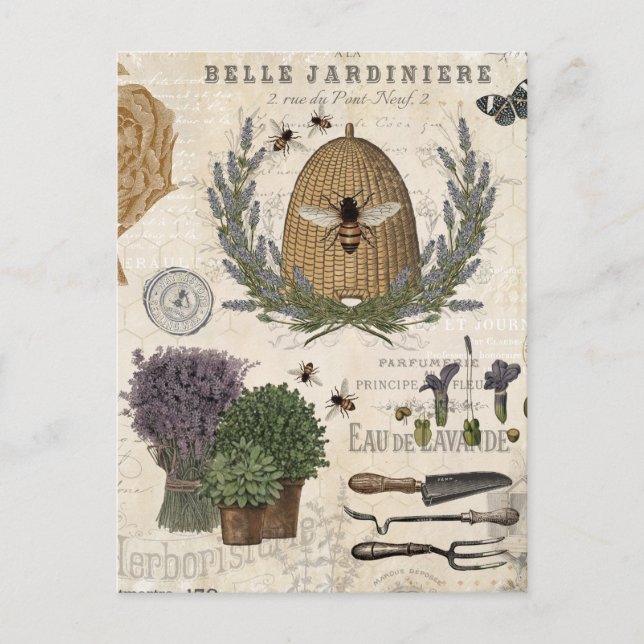 Moderne Vintage französische Bauernbäume Postkarte (Vorderseite)