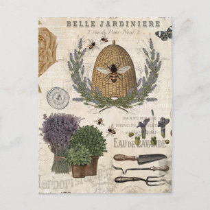 Moderne Vintage Französische Bauernhaus Biene Postkarte