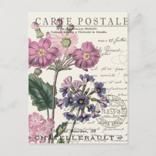moderne Vintage französische Blüte Postkarte