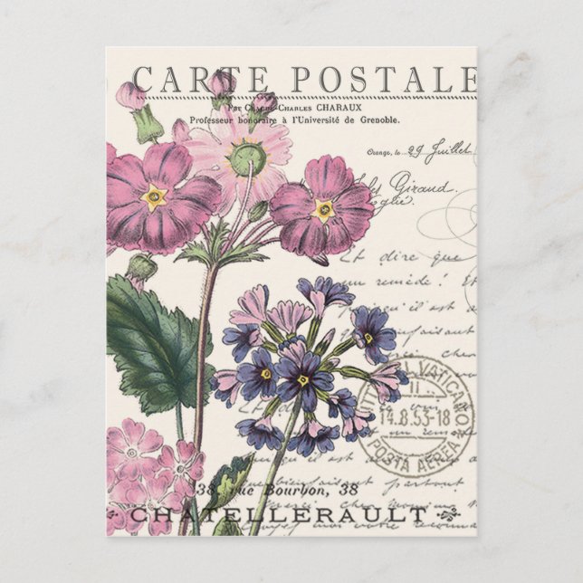 moderne Vintage französische Blüte Postkarte (Vorderseite)