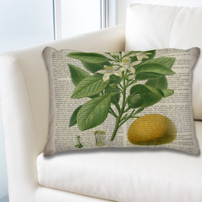 moderne Vintage französische botanische Kunstorang Dekokissen (modern vintage french country botanical art orange accent pillow)