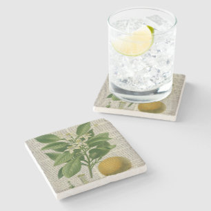 moderne Vintage französische botanische Kunstorang Steinuntersetzer