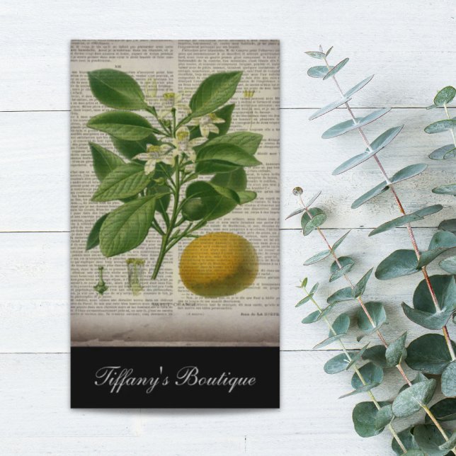 moderne Vintage französische botanische Kunstorang Visitenkarte (modern vintage french country botanical art orange business card)