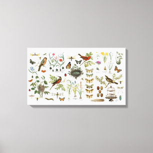 moderne Vintage französische botanische Vögel un Leinwanddruck