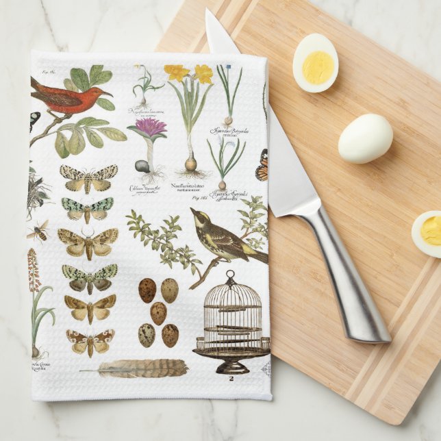 moderne Vintage französische botanische Vögel und Küchentuch (Viertel Falte)