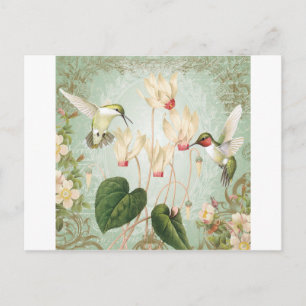 Moderne Vintage französische Kolibris Postkarte