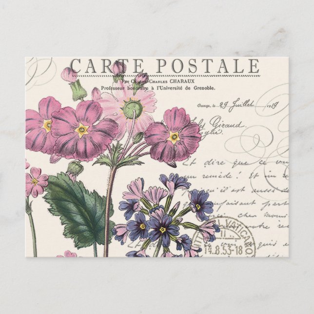 moderne vintage-französische lavendelblüten postkarte (Vorderseite)