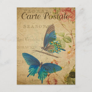 Moderne Vintage französische Schmetterlinge sammel Postkarte
