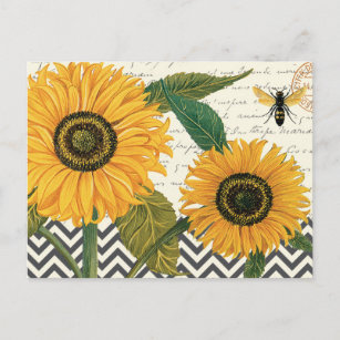 moderne Vintage französische Sonnenblume Postkarte