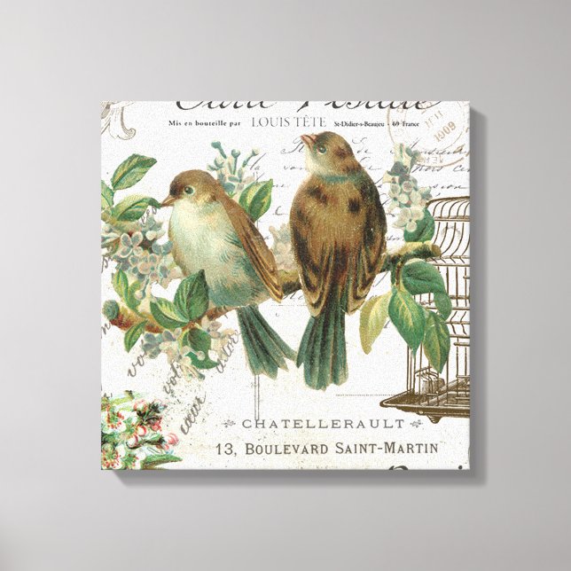 Moderne Vintage französische Vögel und Vogelkäfige Leinwanddruck (Vorderseite)
