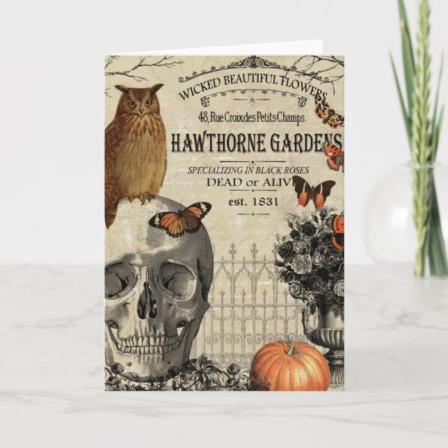 Moderne Vintage Halloweeneule und -schädel Karte (Vorderseite)