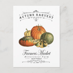 moderne vintage herbstkürbisse und pumpkin postkarte