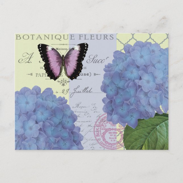 moderne Vintage Hydrangee und Schmetterling Postkarte (Vorderseite)