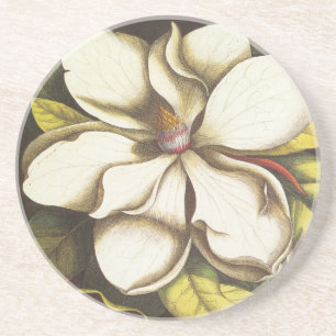 moderne Vintage-Magnolie Getränkeuntersetzer