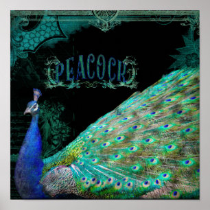 Moderne Vintage Pfau-elegante Poster