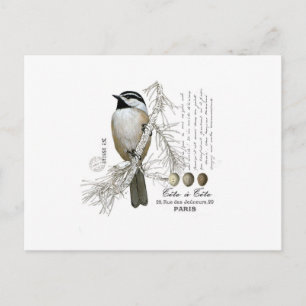 moderne vintage-winter-wald-meise postkarte