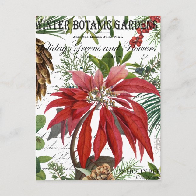 Moderne vintage Wintergarten-Blumen Postkarte (Vorderseite)