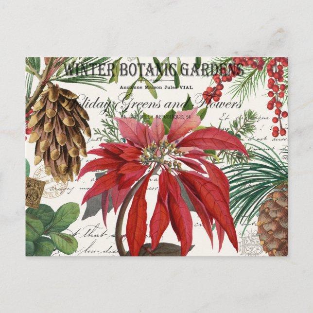 Moderne Vintage-Wintergarten-Blumen-Postkarte Postkarte (Vorderseite)