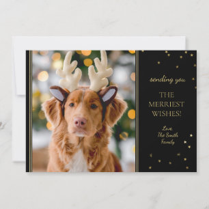 Moderne Weihnachtsfoto in Schwarz und Gold Mitteilungskarte