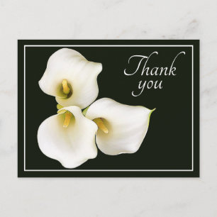 Moderne Weiße Calla-Lilie Botanische Dankeskarte Postkarte