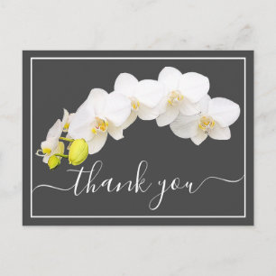 Moderne Weiße Orchidee Elegante Botanische Dankesk Postkarte