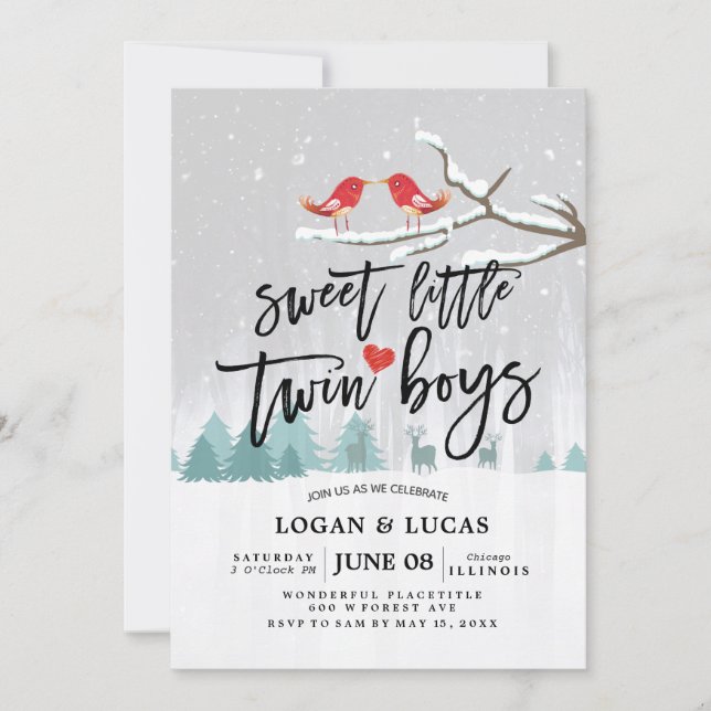 Moderne Winter Baby Dusche Sweet Little Twin Boys Einladung (Vorderseite)