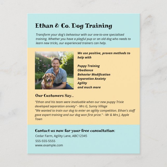 Moderne Yellow Blue Dog Training Pet Services Flyer (Vorne)