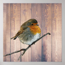 Moderner abstrakter Robin-Vogel aus rustikalem Sta