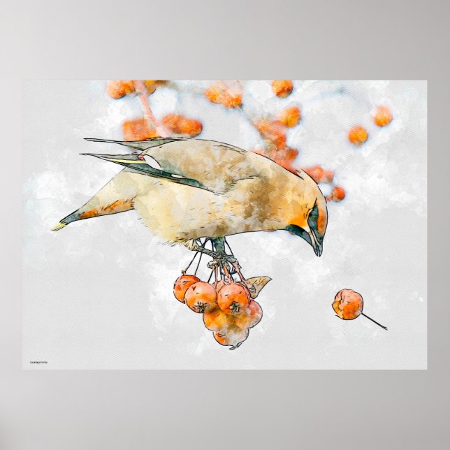 Moderner Aquarellvogel auf einer Winterzweigbeere Poster (Vorne)