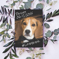 Moderner Chic Elegant Einfach Schwarzer Haustier H