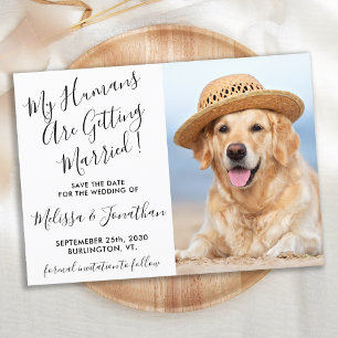 Moderner Eleganter Hochzeitshund Foto Personalisie Save The Date