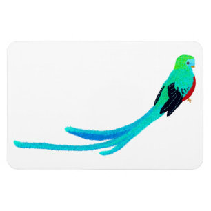 Moderner fröhlicher Quetzal Magnet