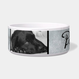 Moderner Grauer Hund in Schwarz-Script-2-Foto Napf