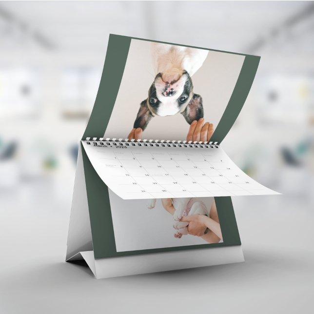 Moderner grüner Scrapbook-Haustierfoto  Kalender (Von Creator hochgeladen)