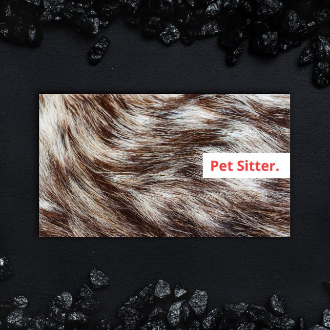 Moderner Haustier Hund Walker Tierarzt Visitenkarte (Bold design Dog Walking and Pet Sitting Business card with fluffy fur and colorful modern type.)