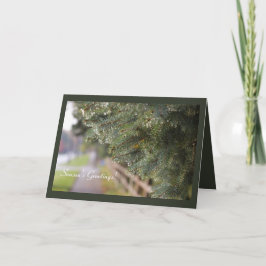 Moderner, heller Glanz in Evergreen Needles Holida Karte
