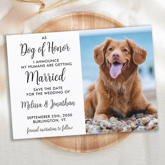 Moderner Hund für Foto Haustiere Hochzeit Save The Date (Von Creator hochgeladen)