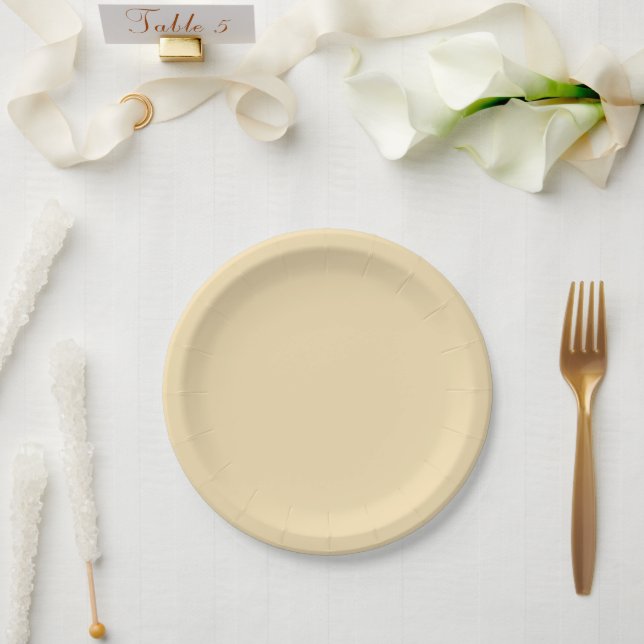 Moderner Küstenstreifen Pappteller (Hochzeit)