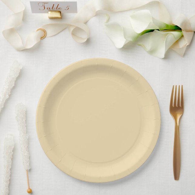 Moderner Küstenstreifen Pappteller (Hochzeit)